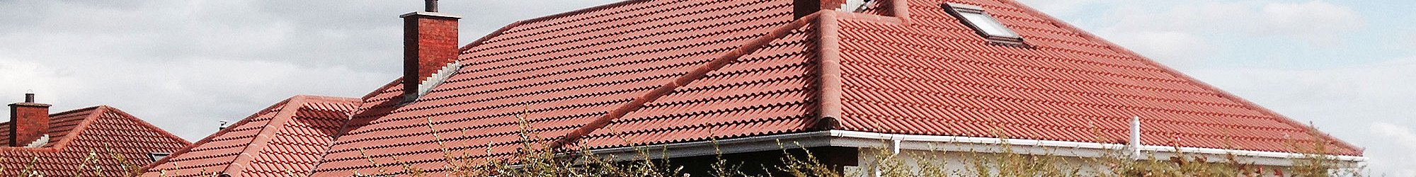 Roof Cleaning and Sealing